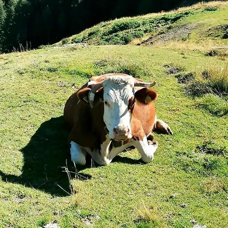 Casa Carcentina - Fronte Seggiovia, Sulla Pista Stelvio