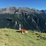 公寓 Casa Carcentina - Fronte Seggiovia, Sulla Pista Stelvio