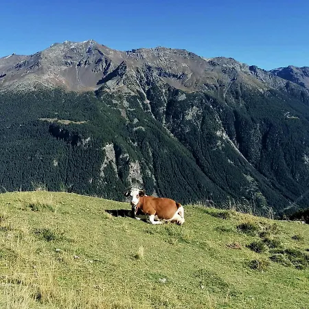 Apartment Casa Carcentina Con Giardino E Sulla Pista Olimpica Stelvio 2026