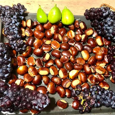 Casa Carcentina - Fronte Seggiovia, Sulla Pista Stelvio Apartmán Bormio