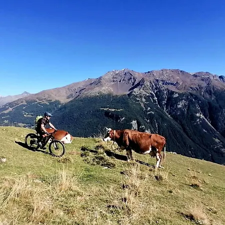 Casa Carcentina Con Giardino E Sulla Pista Olimpica Stelvio 2026 *
