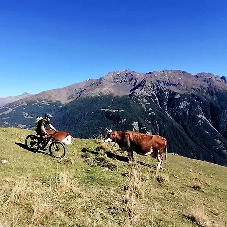 Casa Carcentina - Fronte Seggiovia, Sulla Pista Stelvio *