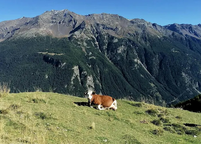 Daire Casa Carcentina - Fronte Seggiovia, Sulla Pista Stelvio