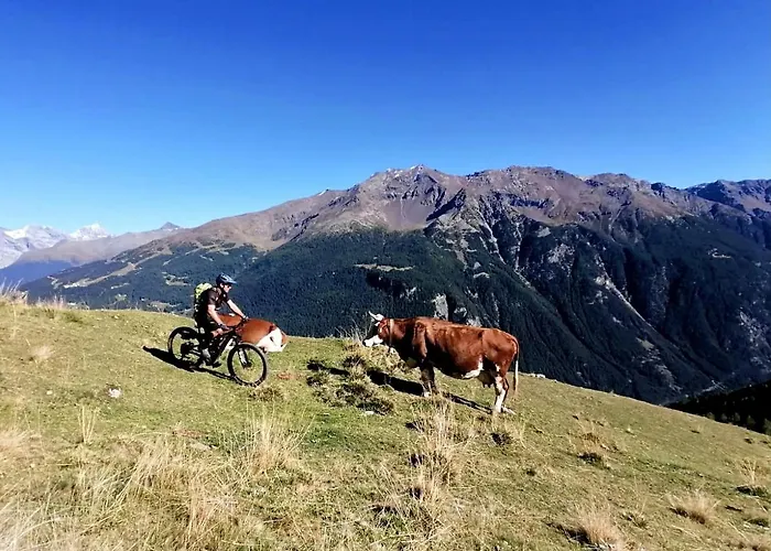 Casa Carcentina - Fronte Seggiovia, Sulla Pista Stelvio *